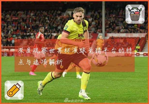 深度观察世界杯滚球竞猜平台的特点与选项解析