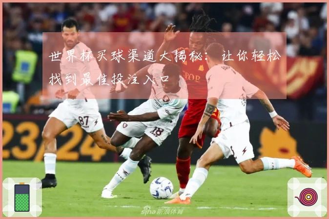 世界杯买球渠道大揭秘：让你轻松找到最佳投注入口