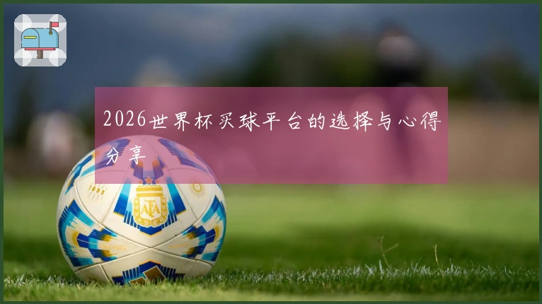 2026世界杯买球平台的选择与心得分享