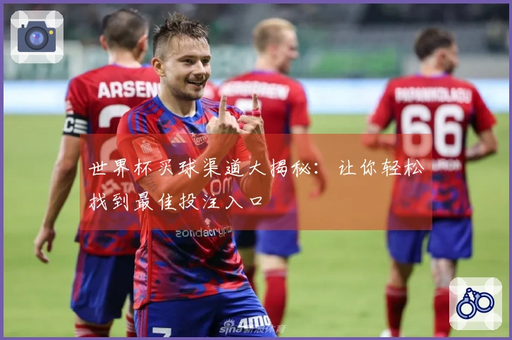 世界杯买球渠道大揭秘：让你轻松找到最佳投注入口