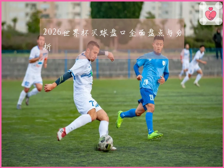 2026世界杯买球盘口全面盘点与分析